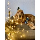 SmoothieDog - Pulykahús smoothie menü kutyáknak 250 ml XMAS Edition