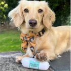 100% lazac húsrolád 200 g, JR Pet Products