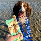 Soopa Dental Sticks - Paw-Na Colada