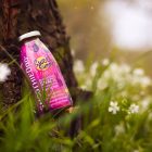 SmoothieDog - Nyúlhús smoothie kutyáknak 250 ml