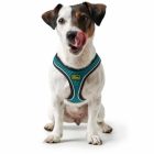 Hilo Comfort hám - türkiz