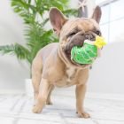 Lulubelles Tiny Tuff Christmas Treats, Huxley & Kent