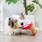 Lulubelles Power Plush Holiday Latte My Way S, Huxley & Kent