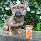 SOOPA DENTAL STICKS - RÉPÁVAL ÉS TÖKMAGGAL 100 G