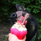 SodaPup® MUFFIN, pink - Jutalomfalattal tölthető, méreganyagmentes játék kutyáknak