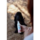 Yogupet - Kefir kutyáknak/cicáknak - Sárgarépa, Körte, Kollagén és Glükózamin
