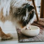 Hunter Lund kerámiatál 550ml