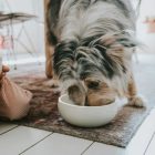 Hunter Lund kerámiatál 550ml