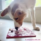 SodaPup® Emat Hearts - Piros