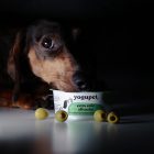 Yogupet - Classic - Joghurt kutyáknak - Extra Szűz Olívaolaj