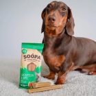 Soopa Dental Sticks - Görögdinnye & Alma