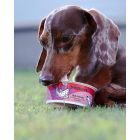 Yogupet - Ice Cream - Joghurt kutyáknak/cicáknak - Görögdinnye és Málna