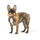 Lulubelles Tiny Tuff Ugly Sweater Party, Huxley & Kent