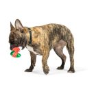 Lulubelles Tiny Tuff Ugly Sweater Party, Huxley & Kent