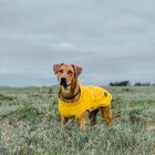 Hunter Esőkabát Milford sárga