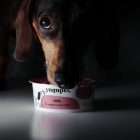 YOGUPET - CLASSIC - JOGHURT KUTYÁKNAK - CHIA MAG