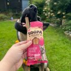 Soopa Dental Sticks - Strawberry Dog-Quiri